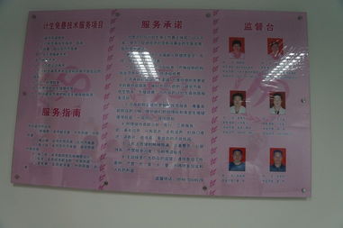 領先CMS建站服務商 專注研發，賦能高效建站